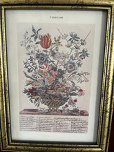 “February” Botanical Print by R. Furber 6” x 8”